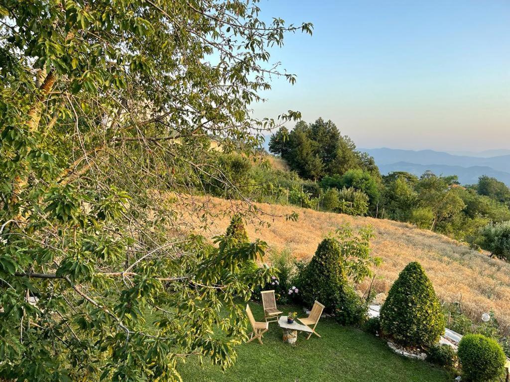 Apartment Bujtina Bezhani Gjinar