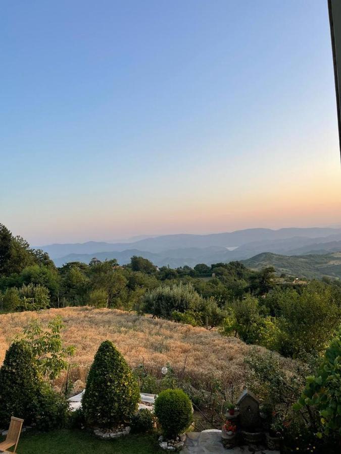 Bujtina Bezhani Gjinar Apartment Elbasan