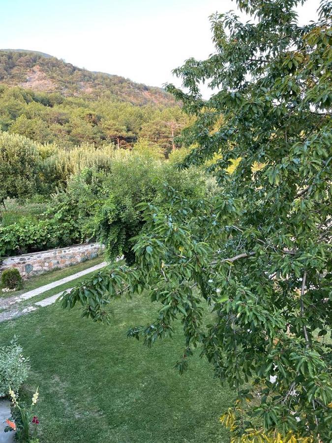 Bujtina Bezhani Gjinar *